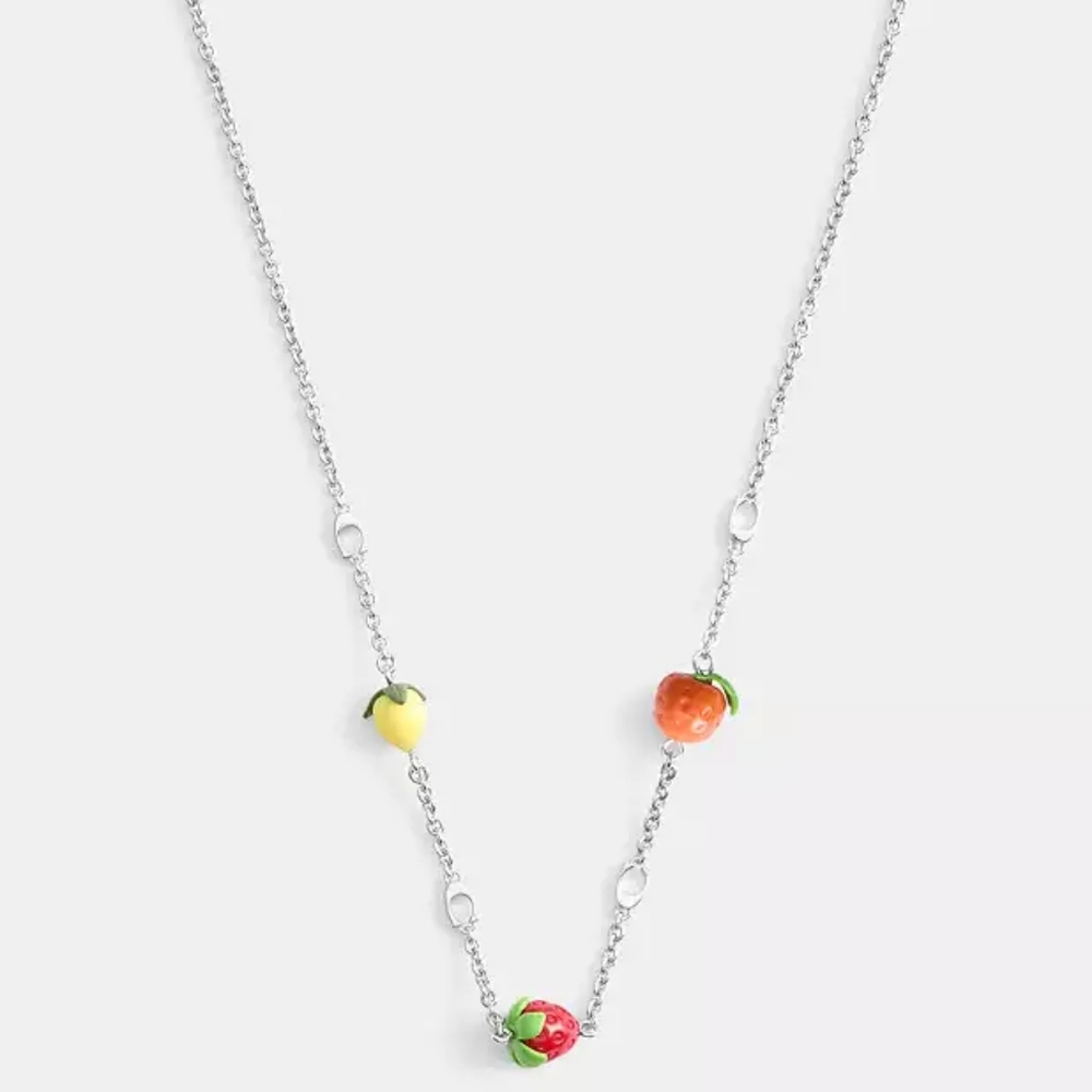 Coach Necklace NWT